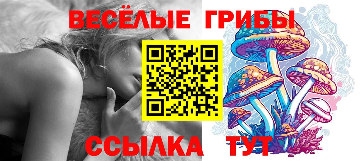 Людиново  Галлюциногенные грибы мицелий  Вход с VPN 