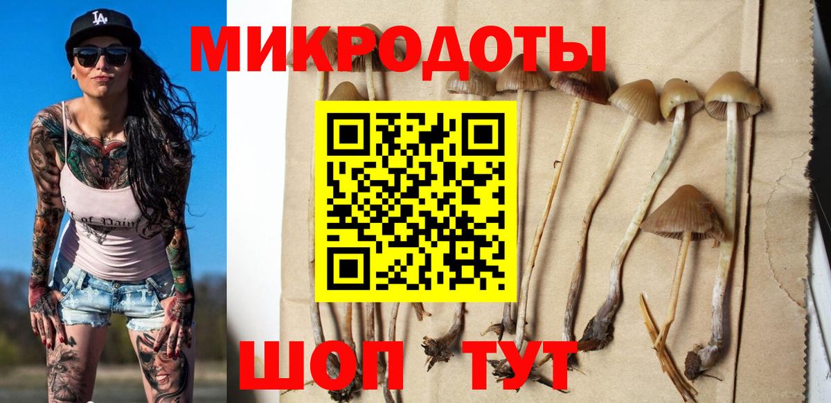 Экстази Людиново